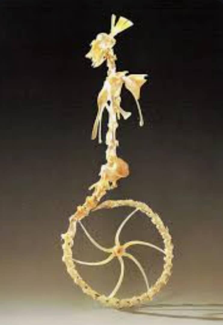 Homo Rodans (1959) Remedios Varo